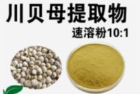 川貝母提取物