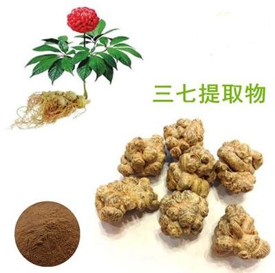 三七提取物