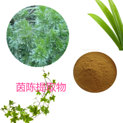 茵陳提取物